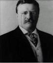 Tweed Roosevelt