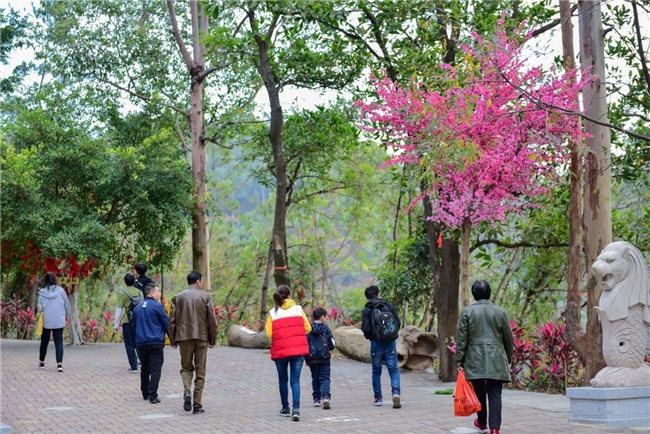 观音山：自然教育高质量发展的范本  ——广东观音山国家森林公园厚植自然教育沃土